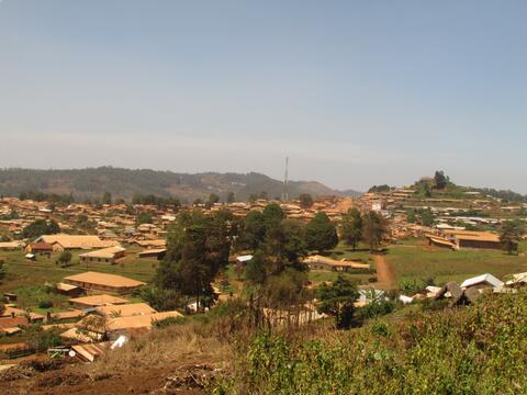 Ndu Town